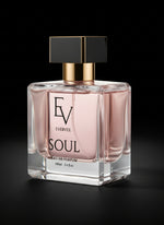 Ev Soul